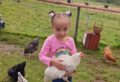 child-with-chicken