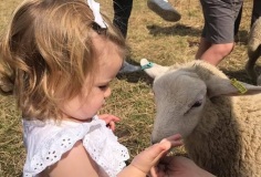 child-with-sheep