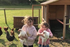 holding-chickens