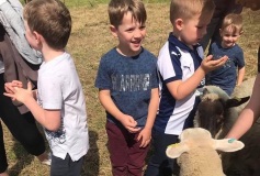 kids-and-sheep
