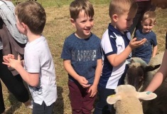 kids-with-sheep